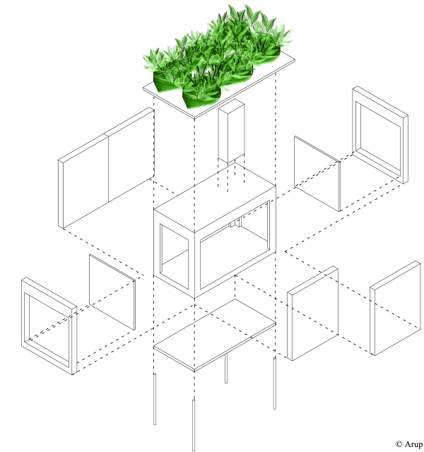 © Arup © Arup